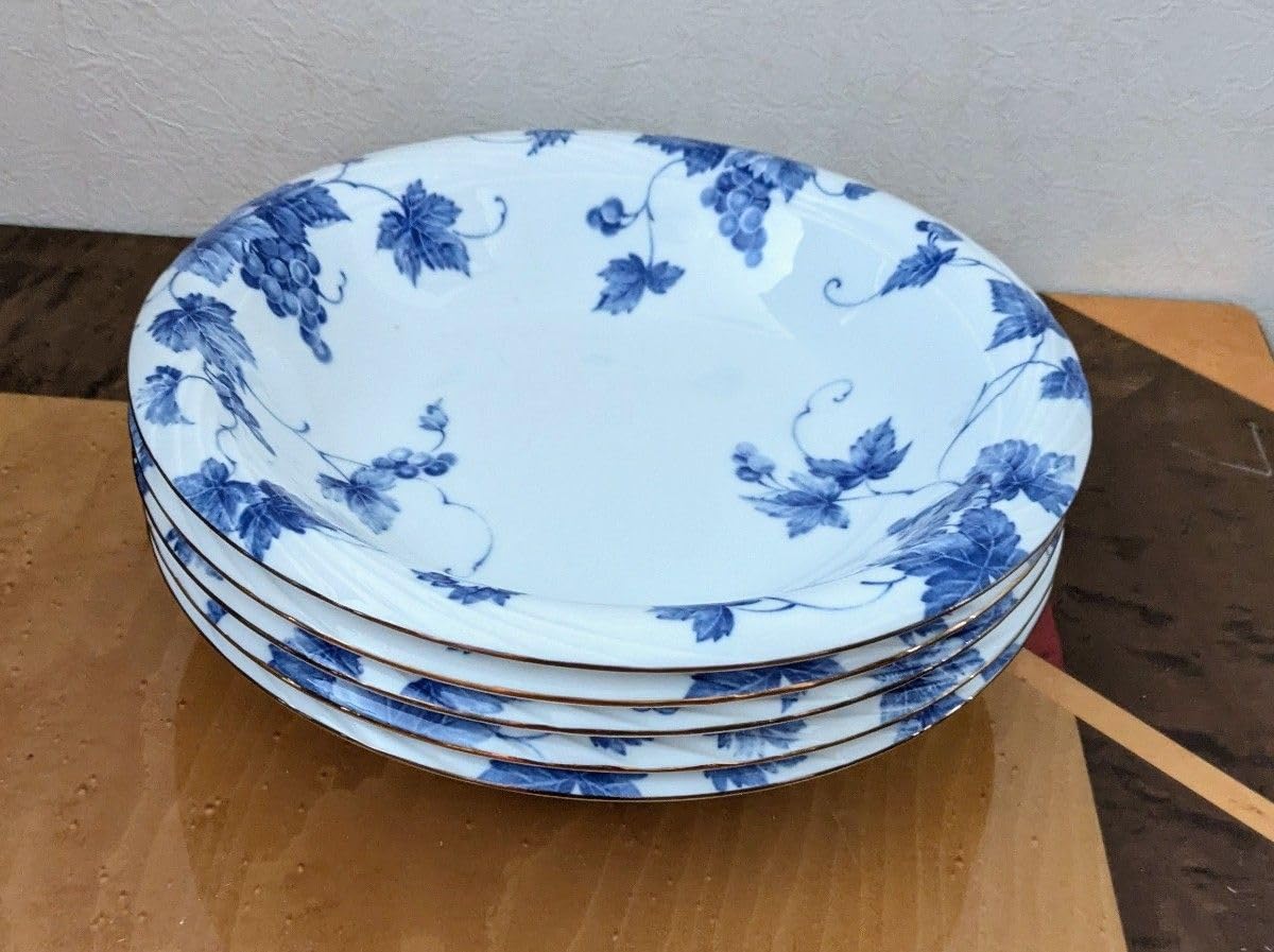 たち吉 中皿 カレー皿 直径21cm 9点 【公式通販】
